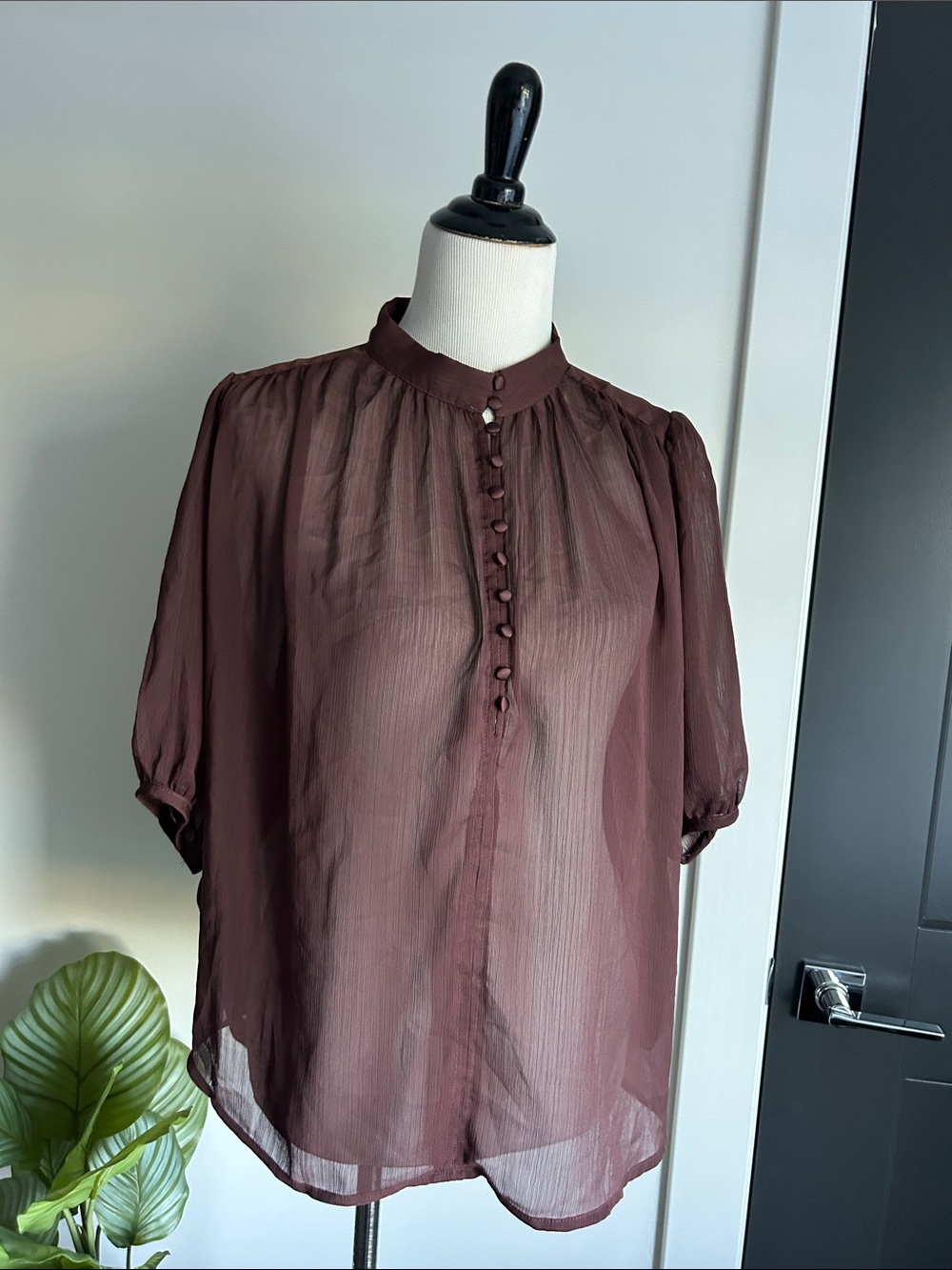 H&M XL dark brown sheer short sleeve button accent high neckline blouse